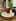 /images/drinks_2/Facetune_20-11-2023-23-50-15.jpg